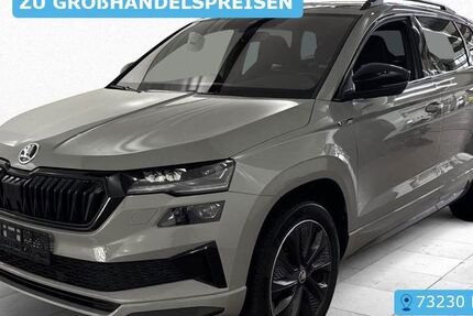 Skoda Karoq 110.033 km 24.690 &euro; Frankfurt 60596