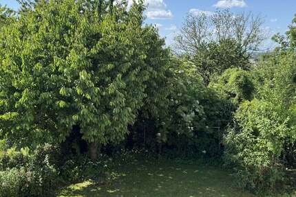 Grundstück Zwingenberg - 695.000&euro; | Angebot:27243569