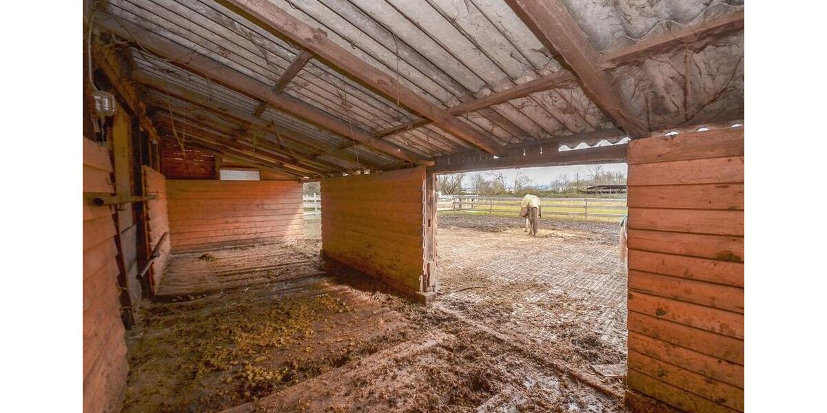 Gewerbeobjekt Seligenstadt - 1.300&euro; | Angebot:25431487