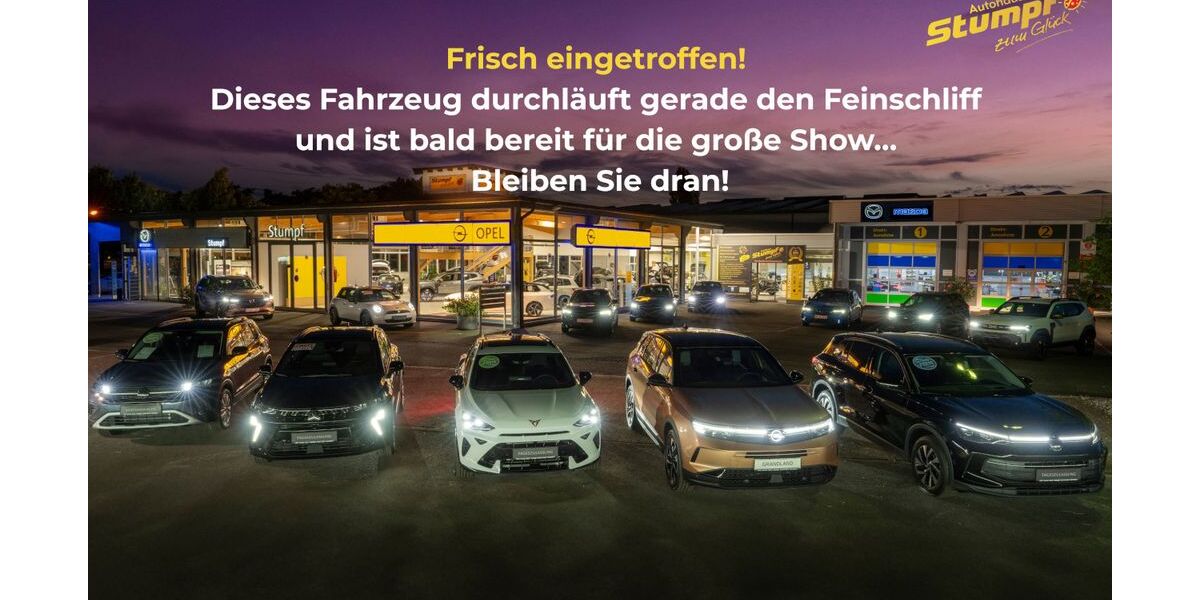 Opel Vivaro 4.000 km 31.950 &euro; Heppenheim 64646