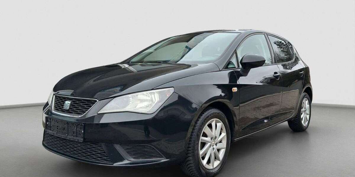 Seat Ibiza 124.000 km 4.600 &euro; Hofheim am Taunus 65719