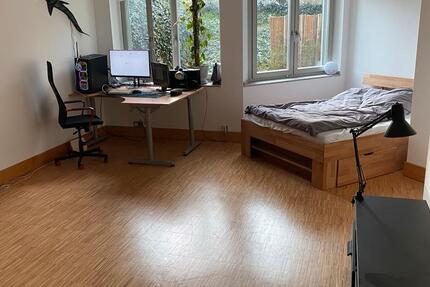 Wohnung Darmstadt Darmstadt-Ost - 1 Zimmer, 55 m&sup2;, 810&euro; | Angebot:25396579