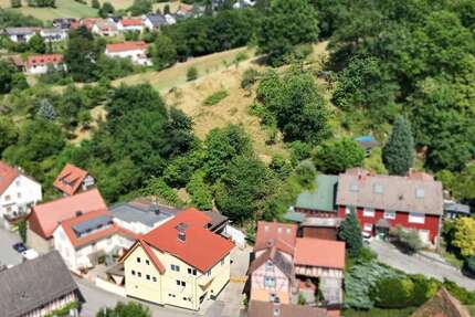 Haus Heppenheim (Bergstraße) - 8 Zimmer, 245 m&sup2;, 645.000&euro; | Angebot:26514297