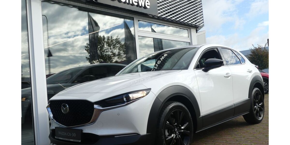 Mazda CX-30 2.900 km 27.890 € Groß-Umstadt 64823
