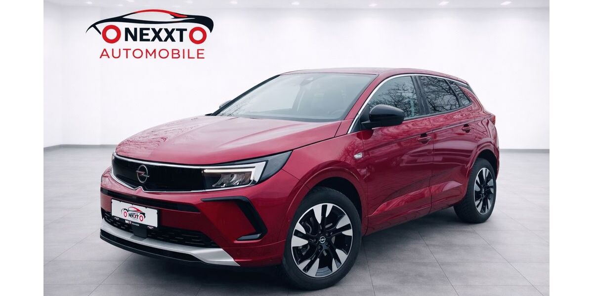 Opel Grandland (X) 44.000 km 19.500 &euro; Flörsheim 65439