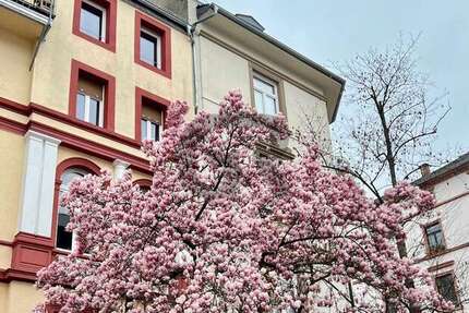 Haus zum Kaufen in Darmstadt 3.450.000 € 1362 m² 23 zimmer