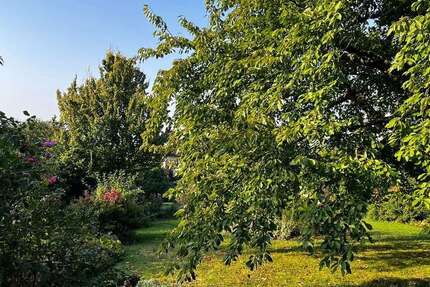 Haus zum Kaufen in Hofheim am Taunus 1.590.000 € 450 m²