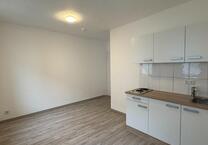 Renovierte gemütliche 1 Zi. Wohnung mit Duschbad & Pantry Küche