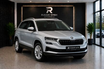 Skoda Karoq 159.575 km 17.900 &euro; Frankfurt am Main 60386