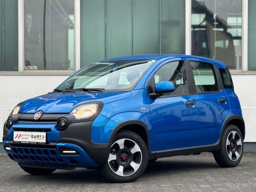Panda