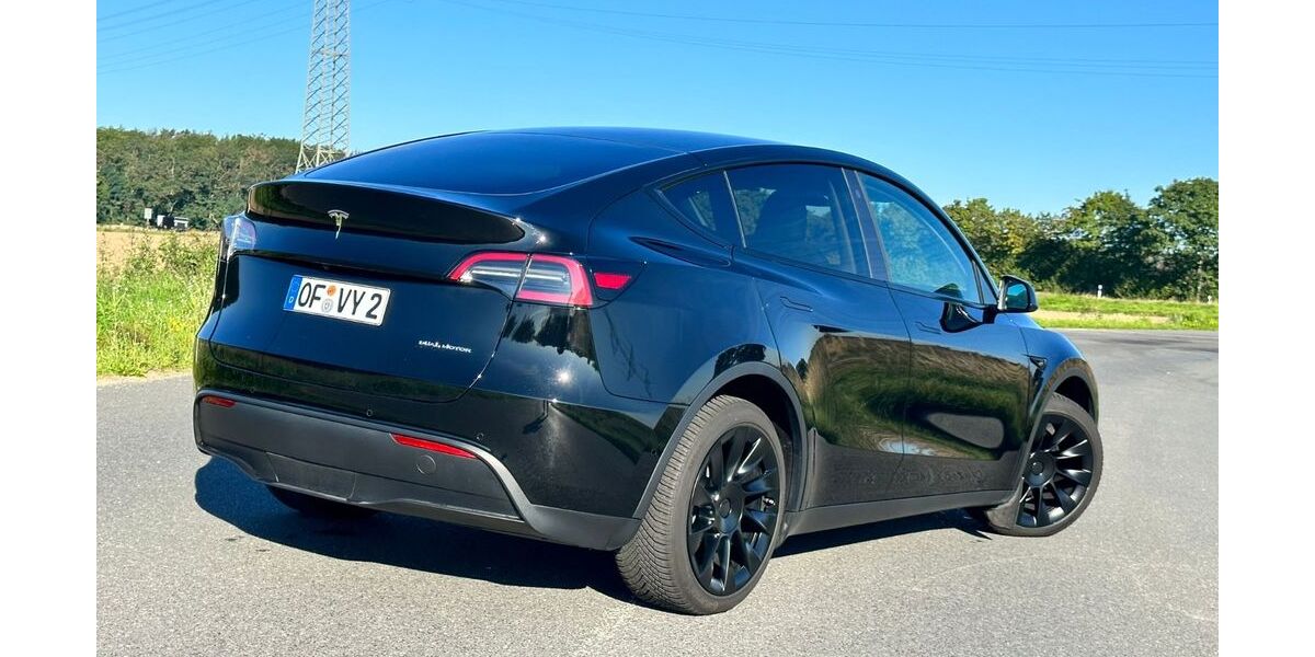 Tesla Model Y 118.500 km 32.900 &euro; Seligenstadt 63500