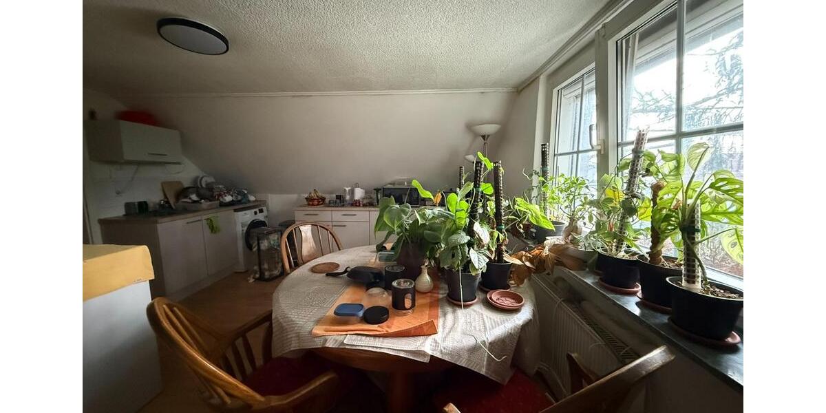 Dachgeschoßwohnung Griesheim - 2 Zimmer, 70 m&sup2;, 900&euro; | Angebot:25384846