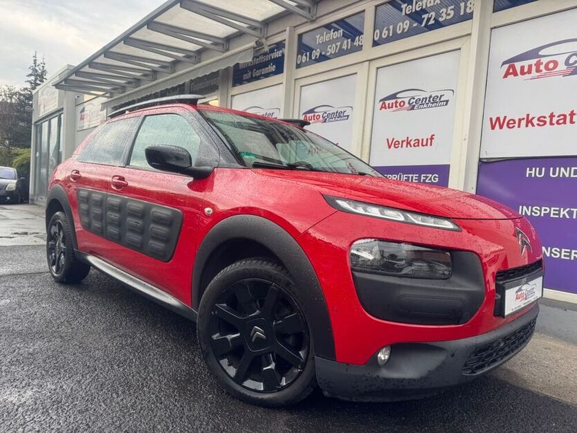 C4 Cactus