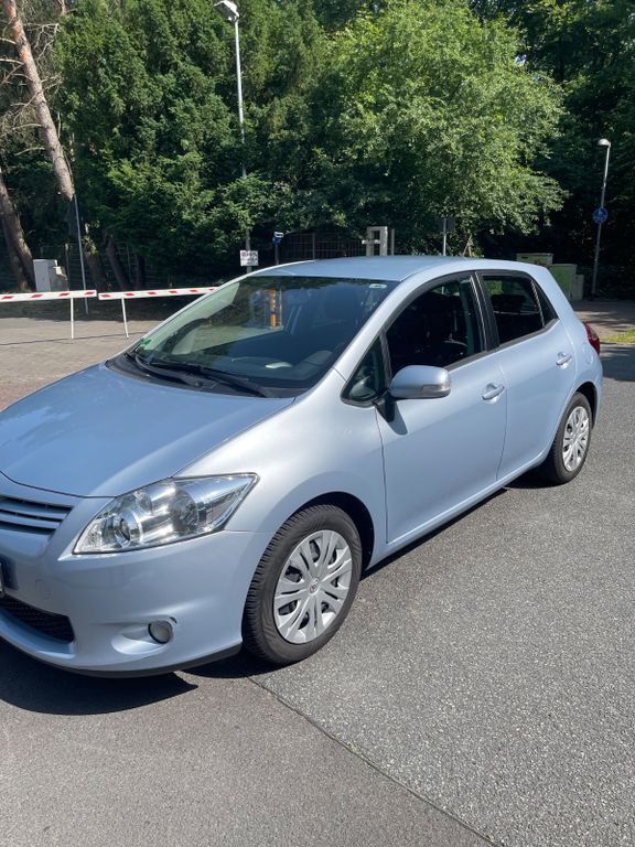 Auris