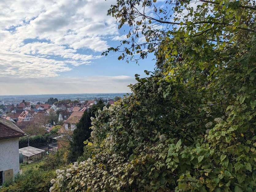 Haus zum Kaufen in Bensheim 680.000 € 130 m²