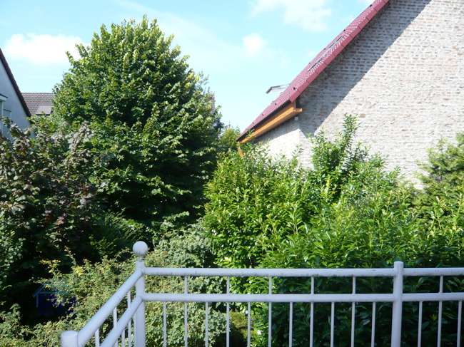 Wohnung zum Kaufen in Frankfurt am Main Bergen-Enkheim 330.000 € 68 m² 2 zimmer