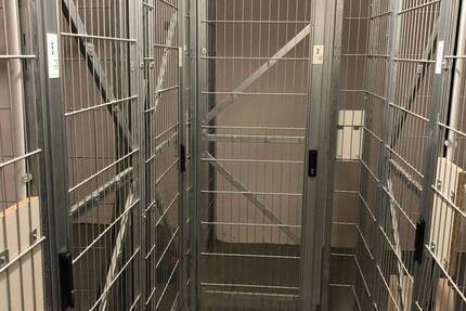 Haus Frankfurt am Main Bahnhofsviertel - 250&euro; | Angebot:26805773