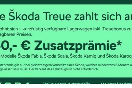 Skoda Fabia 4.500 km 23.980 &euro; Frankfurt 60326