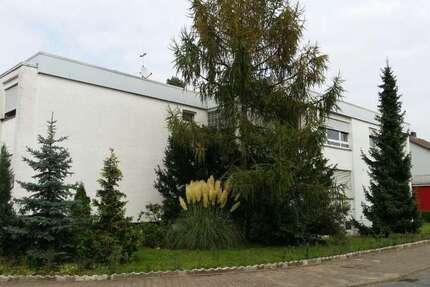 Wohnung zum Mieten in Rüsselsheim 450 € 33 m² 1 zimmer