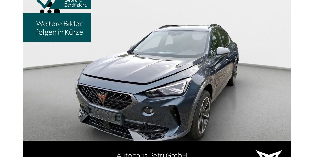 Cupra Formentor 31.735 km 24.940 &euro; Hofheim-Diedenbergen 65719