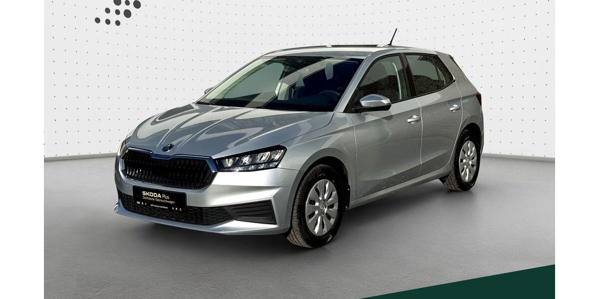 Skoda Fabia 35.591 km 13.660 &euro; Hofheim im Taunus 65719