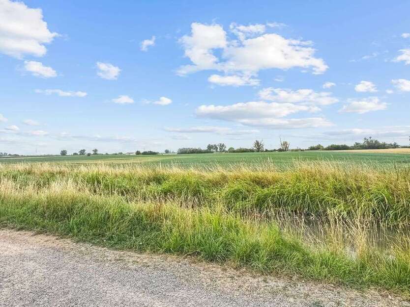 Grundstück in Lampertheim 450.000 € 865 m²