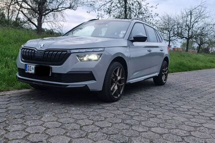 Skoda Kamiq 97.000 km 21.500 &euro; Eppertshausen 64859