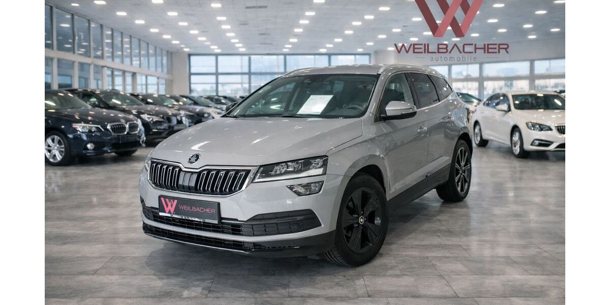 Skoda Karoq 95.700 km 19.490 &euro; Flörsheim 65439