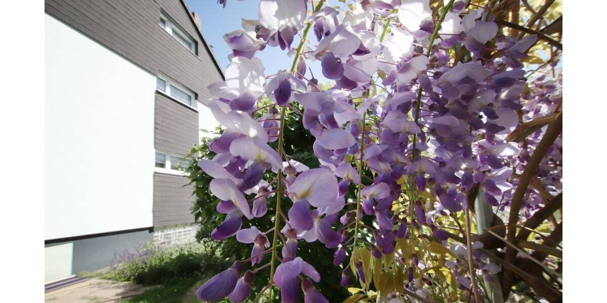 Mehrfamilienhaus, Wohnhaus Darmstadt Eberstadt - 5 Zimmer, 159 m&sup2;, 649.900&euro; | Angebot:26554649