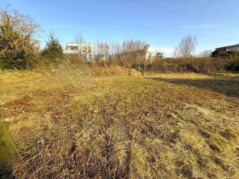 Grundstück zu verkaufen in Ober-Ramstadt 210.000 € 341 m²