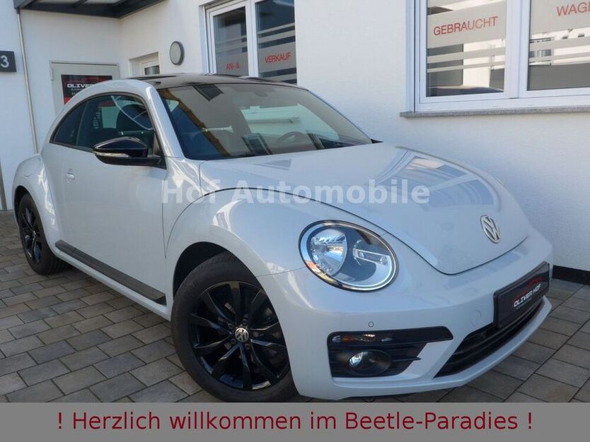 Beetle