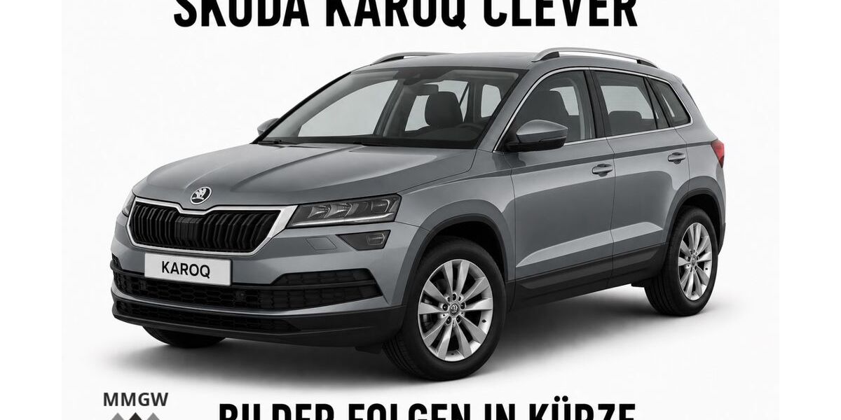 Skoda Karoq 90.323 km 18.990 &euro; Bensheim 64625
