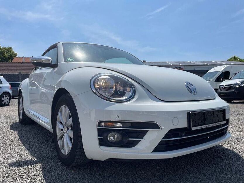 Beetle