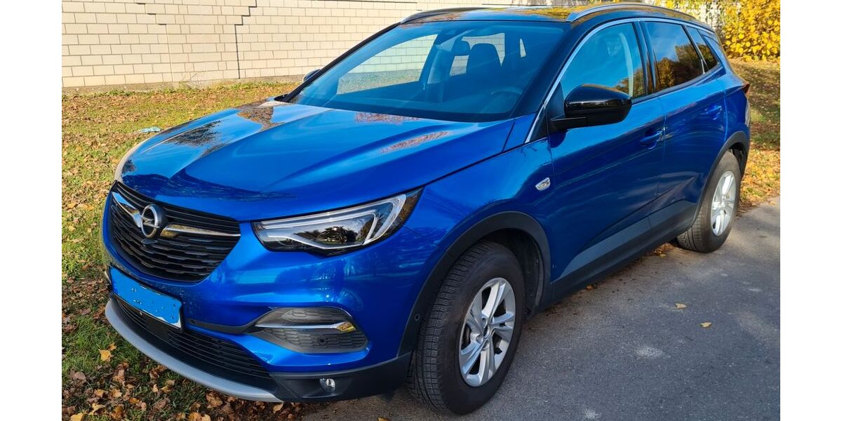 Opel Grandland (X) 19.500 km 23.900 &euro; Gross Gerau 64521