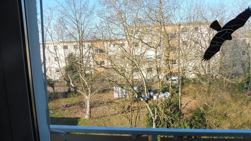 Etagenwohnung Rodgau - 3 Zimmer, 74 m&sup2;, 235.000&euro; | Angebot:27163928