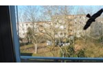 Etagenwohnung Rodgau - 3 Zimmer, 74 m&sup2;, 235.000&euro; | Angebot:27163928