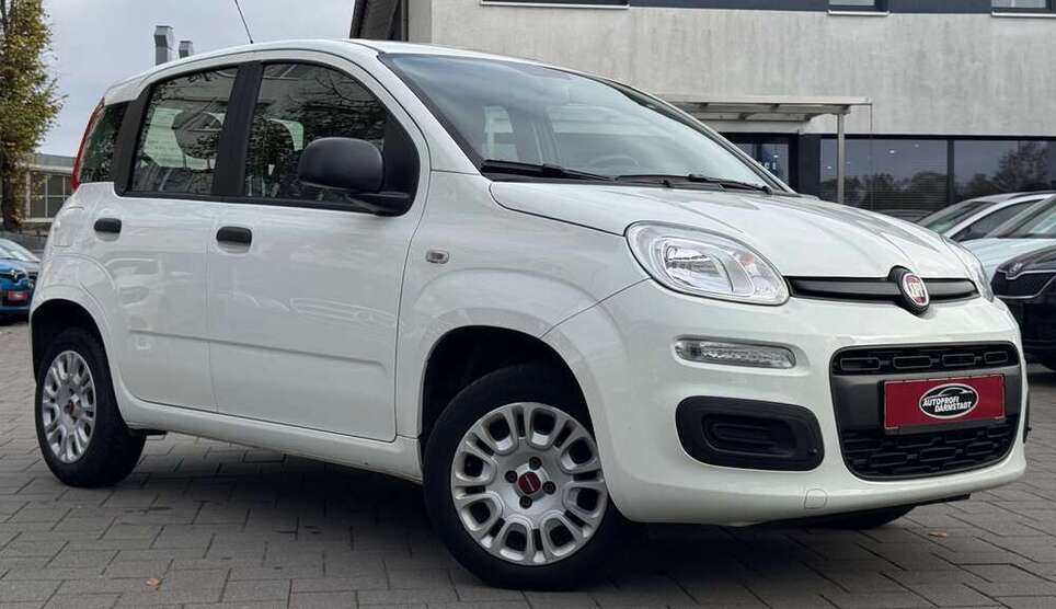 Panda