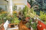 Einfamilienhaus Weiterstadt - 3 Zimmer, 295.000&euro; | Angebot:26892975
