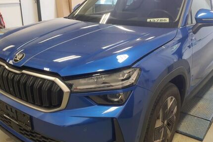 Skoda Kodiaq 45.000 km 44.988 &euro; Darmstadt 64293