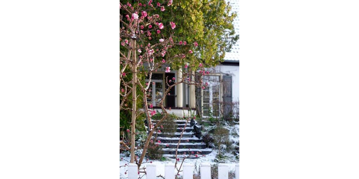 Mehrfamilienhaus, Wohnhaus Darmstadt Eberstadt - 7 Zimmer, 160 m&sup2;, 1.495.000&euro; | Angebot:25676228