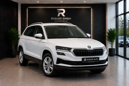 Skoda Karoq 154.136 km 19.750 &euro; Frankfurt am Main 60386