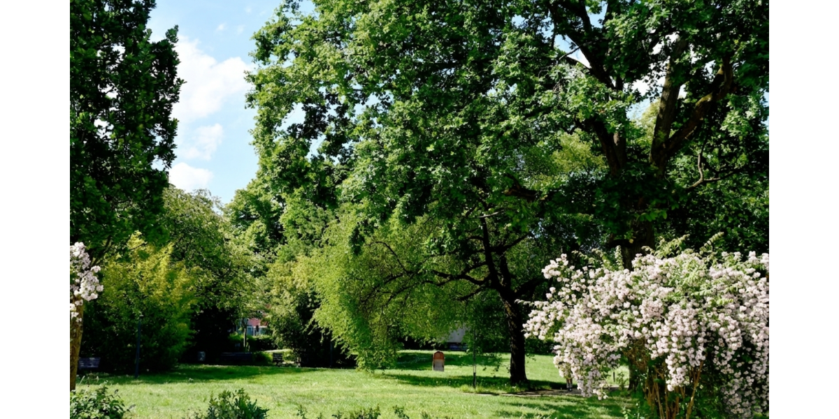 **RESERVIERT** Zwischen Stadtleben und Parkidylle – attraktive 2-Zimmer-Wohnung im beliebten Woogsviertel - Dachgeschoßwohnung Darmstadt Darmstadt/Viertel | Angebot:26776972