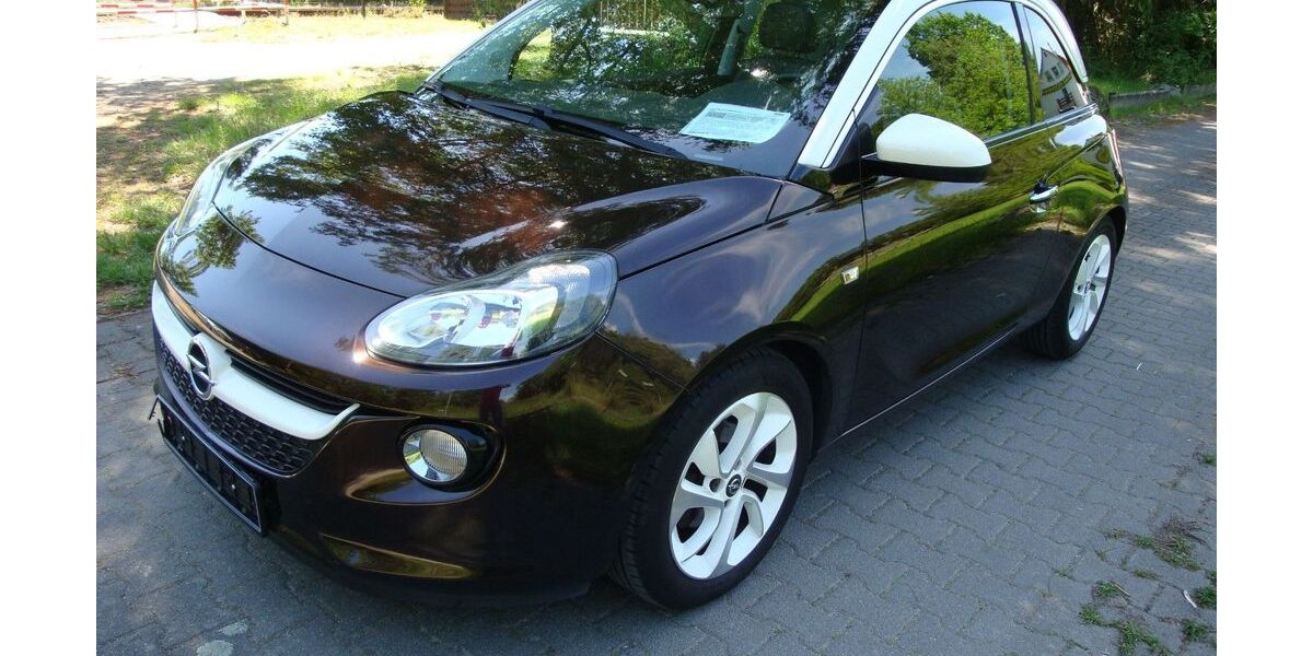 Opel Adam 53.600 km 12.799 &euro; Lorsch 64653