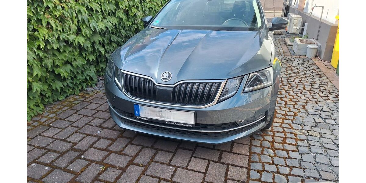 Skoda Octavia 91.800 km 14.990 &euro; Lorsch 64653