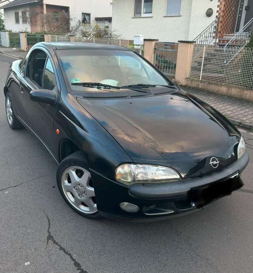 Tigra