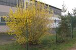 Gewerbeobjekt Rodgau - 5&euro; | Angebot:23552617