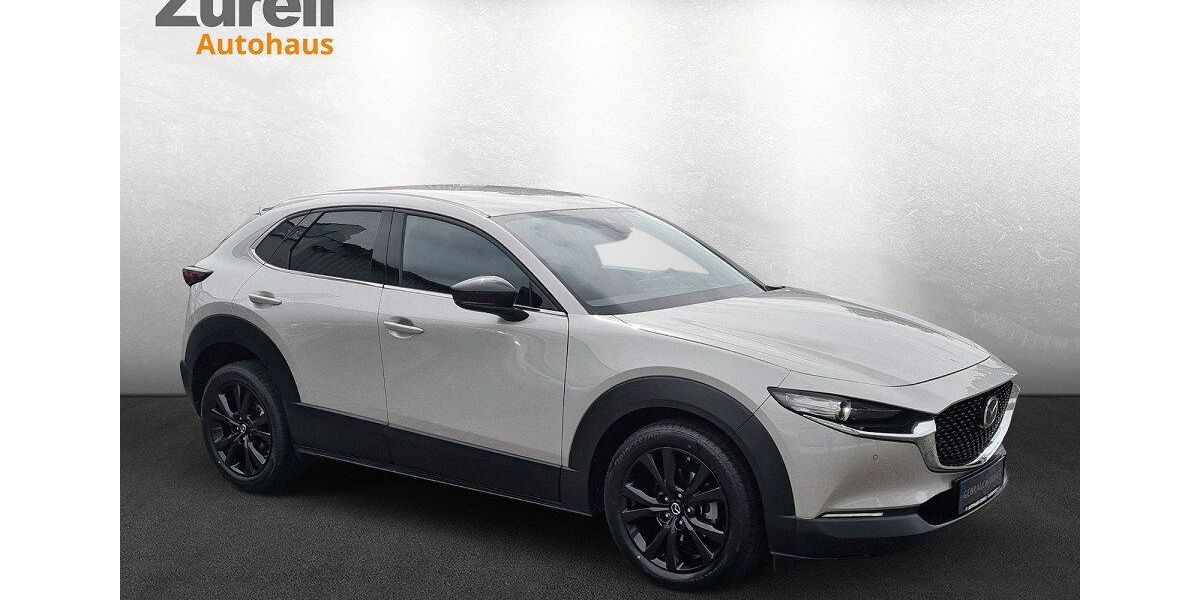 Mazda CX-30 55.775 km 22.880 &euro; Darmstadt 64293