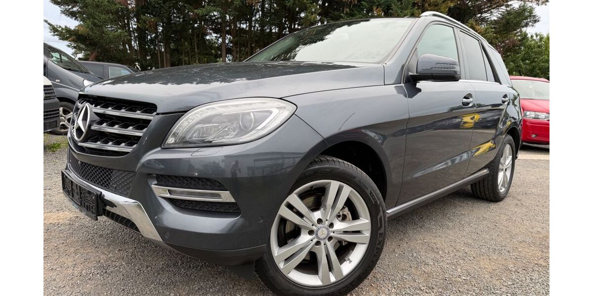Mercedes-Benz ML 350 230.307 km 15.500 &euro; Nauheim 64569