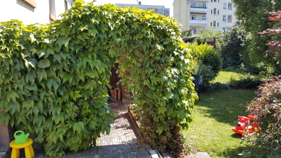Doppelhaushälfte Offenbach am Main Bieberer Berg - 4 Zimmer, 99 m&sup2;, 500.000&euro; | Angebot:26166517