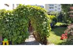 Doppelhaushälfte Offenbach am Main Bieberer Berg - 4 Zimmer, 99 m&sup2;, 500.000&euro; | Angebot:26166517